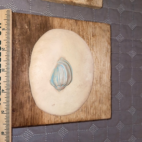 Set of 2 ocean shells rustic frames - Picture 4 of 7